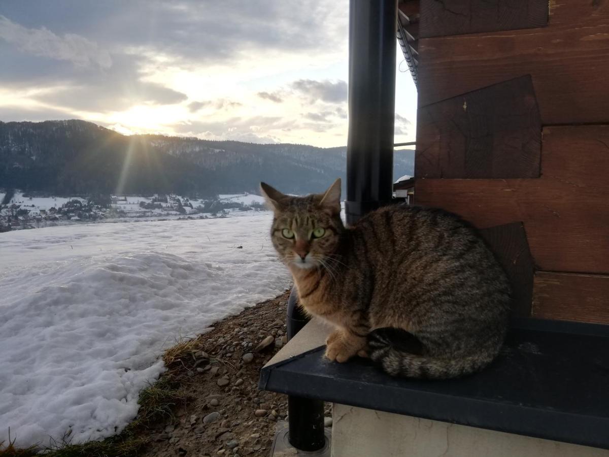 Orlik - Pokoje Goscinne Uscie Gorlickie Exterior foto