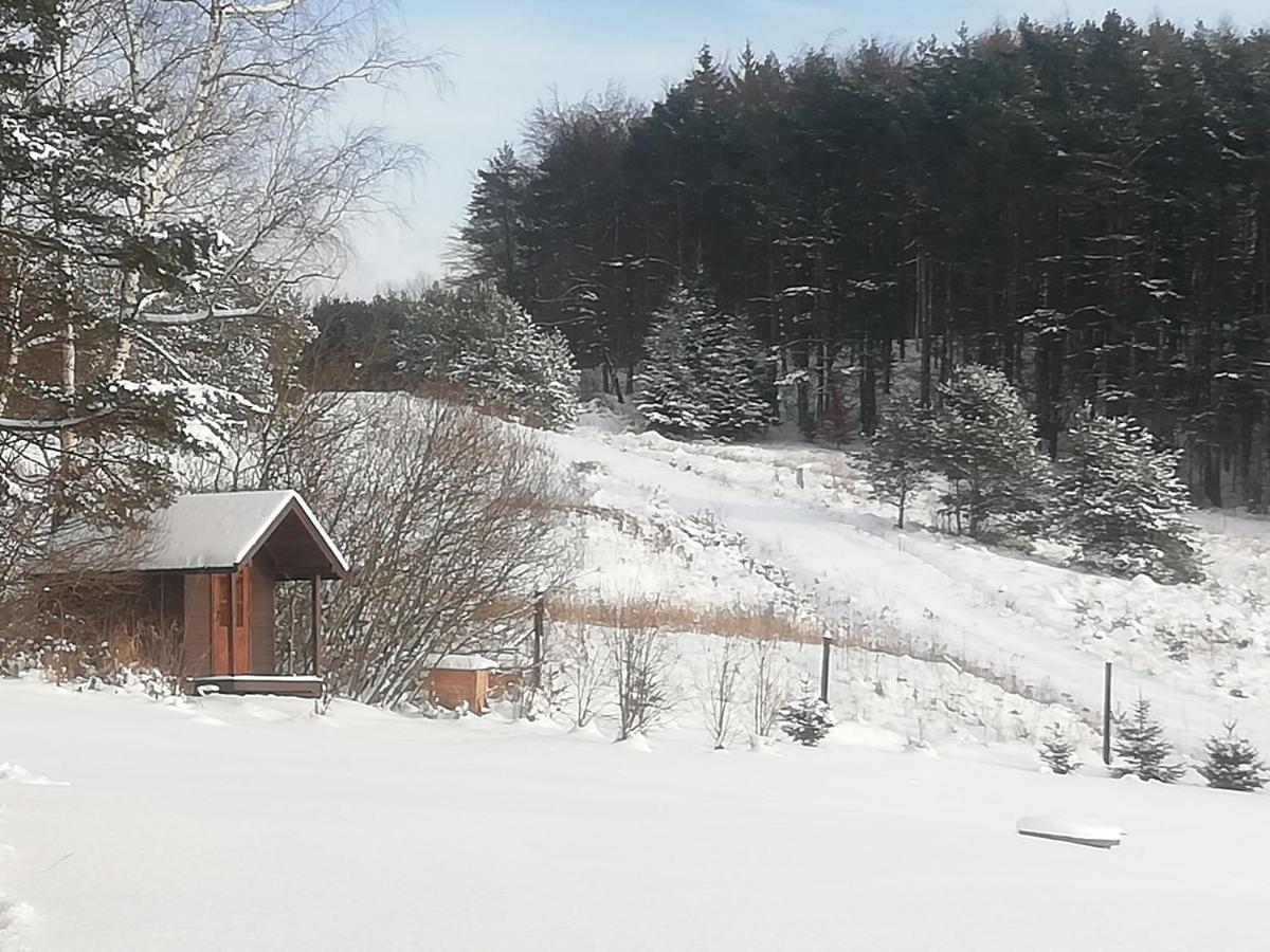 Orlik - Pokoje Goscinne Uscie Gorlickie Exterior foto